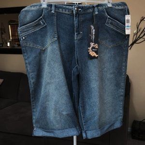 NWT Style & Co skimmer premium denim long cuffed shorts sz 20W